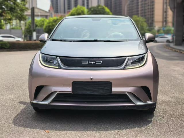 
								BYD Dolphin 2021 Fashion Edition full									